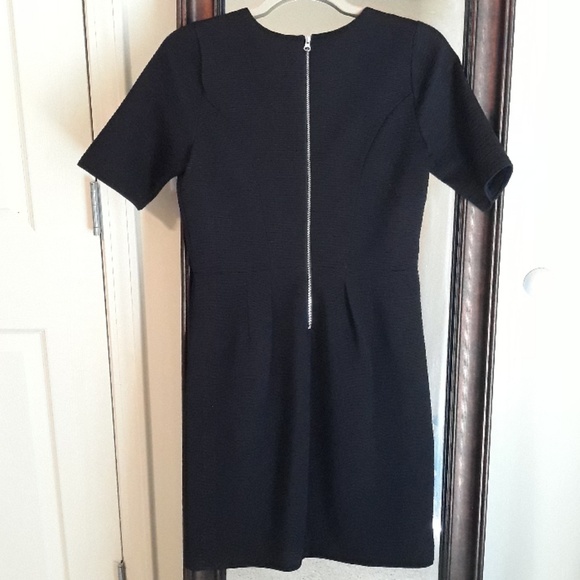 The Limited Ribbed back zipper Dress - Picture 2 of 6